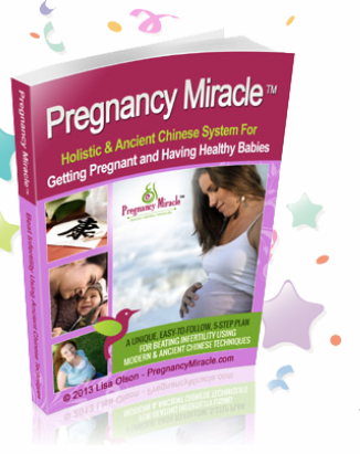 Pregnancy Miracle ebook cover