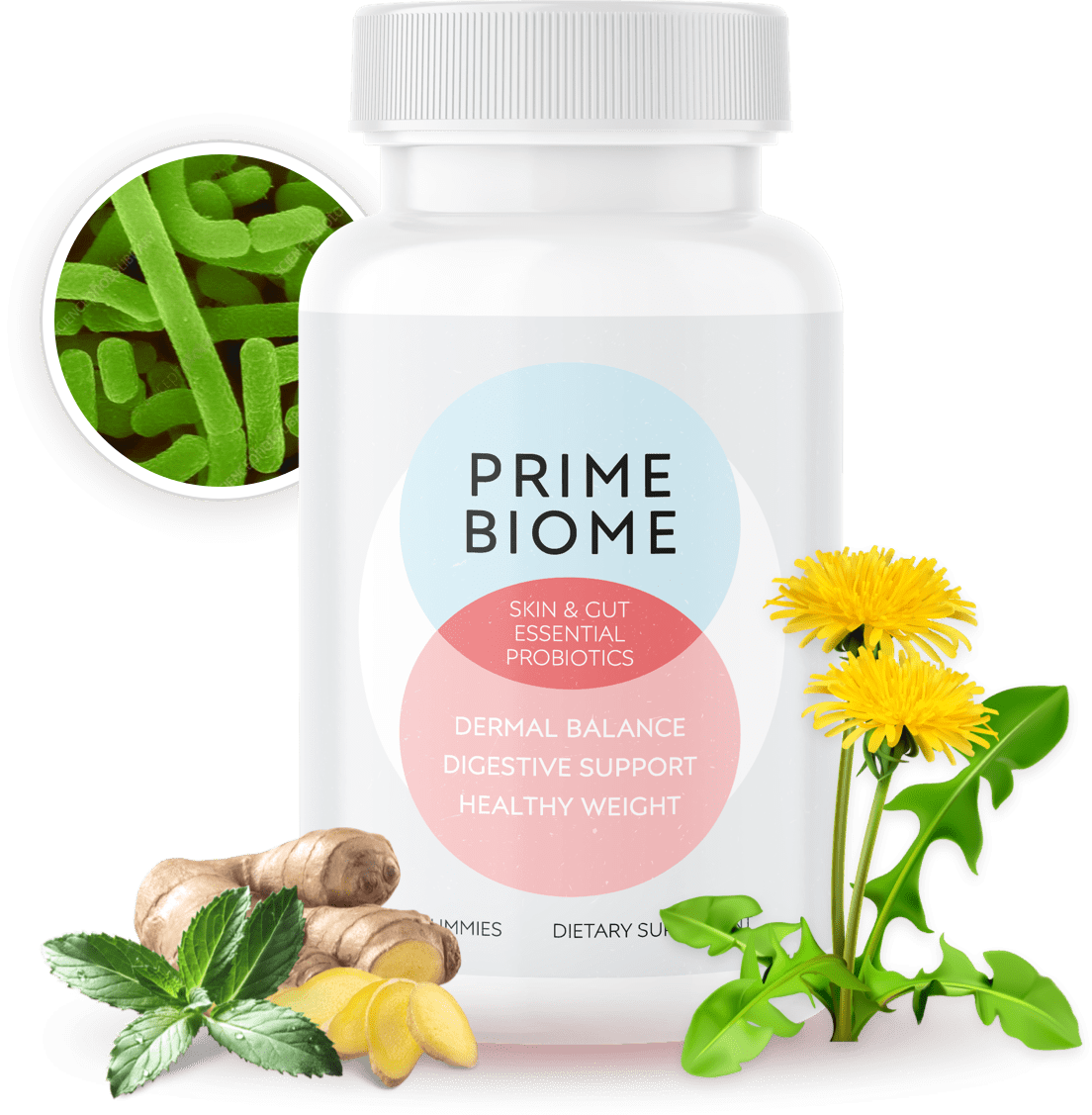 PrimeBiome Review